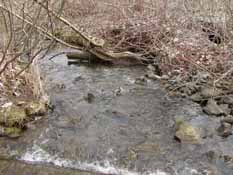 Traver Creek at Dhu Varren Road Sampling Site, 10 April 2010.
